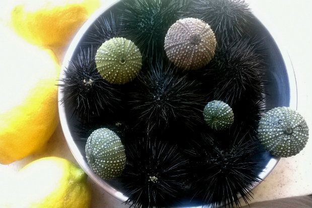 photo: Αννα Γαλανού