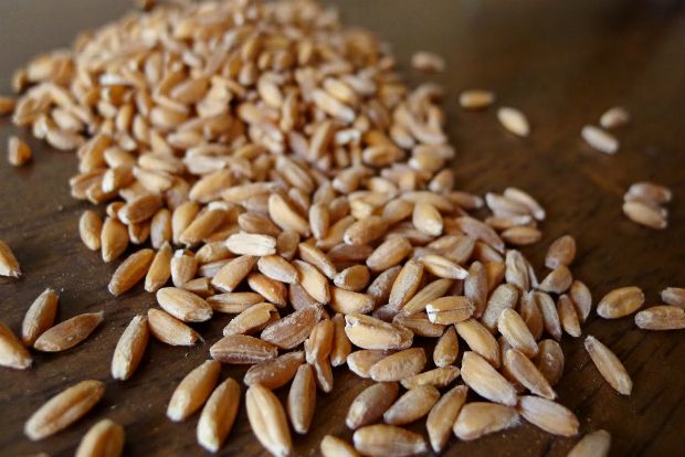 Photo: italian-food-lovers.com