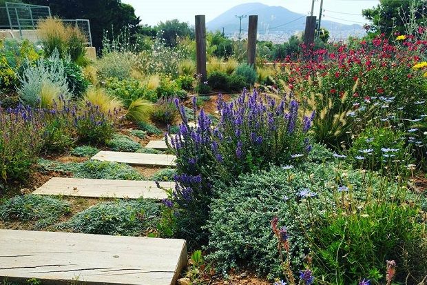 Λεπτομέρεια έργου στην Πεντέλη. Σχεδιασμός του κήπου με πολλά αρωματικά, βότανα και αγροστώδη φυτά