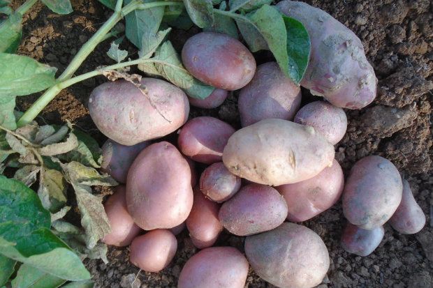 [photo: Μαργαρίτα Ζαχαριάδου]