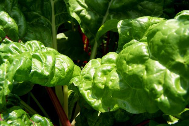 Σέσκουλο, spartasoap@Flickr