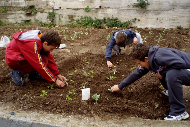 Photo: sites.duke.edu