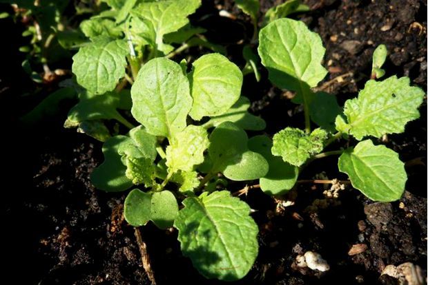 photo: Άντυ Παξινός