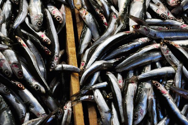 Φωτο: Δάφνη Κουγέα