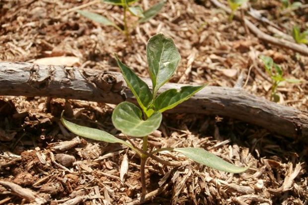 photo: Άντυ Παξινός