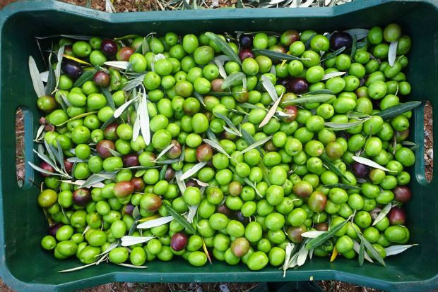 photo: Βασίλης Φραντζολάς