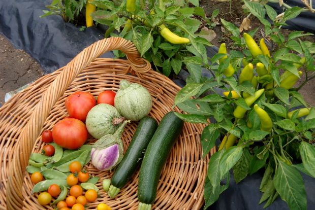 Photo: komalinunna.blogspot.gr