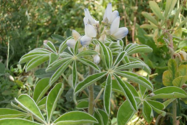 photo: Άντυ Παξινός
