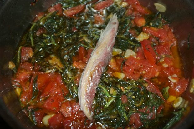 [photo: Νίκος Μορόπουλος]