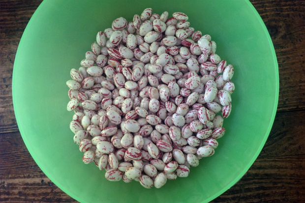 photo: Κική Τριανταφύλλη