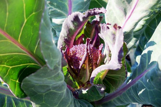 photo: Άντυ Παξινός