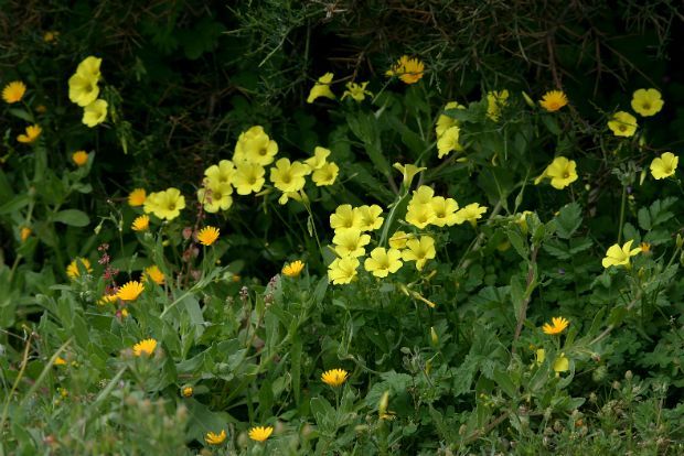 Photo: jonnobird@Flickr