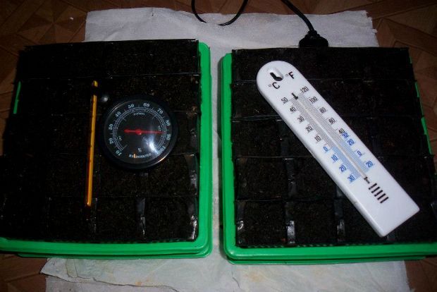 photo: Άντυ Παξινός