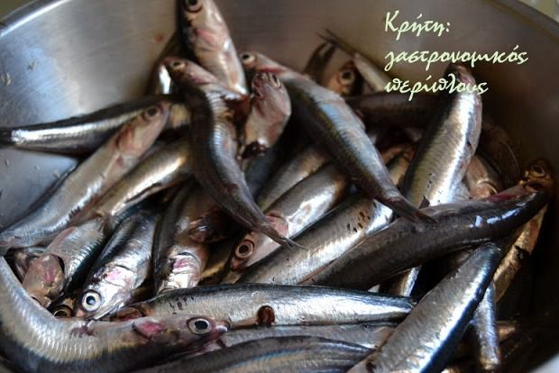 photo: Βαγγελιώ Κασσαπάκη