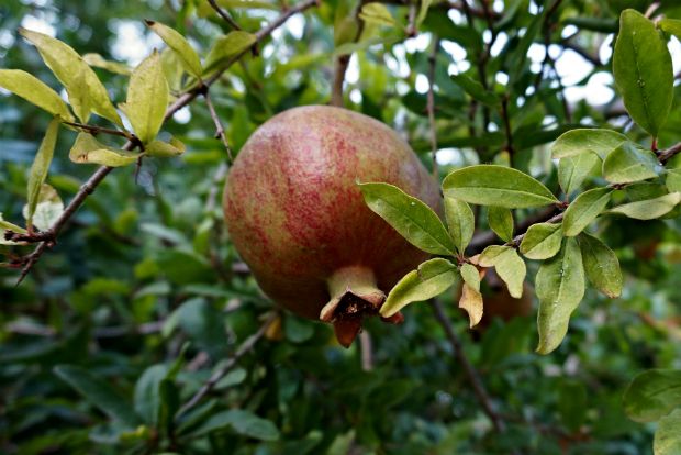 photo: jessiebenson93@Flickr