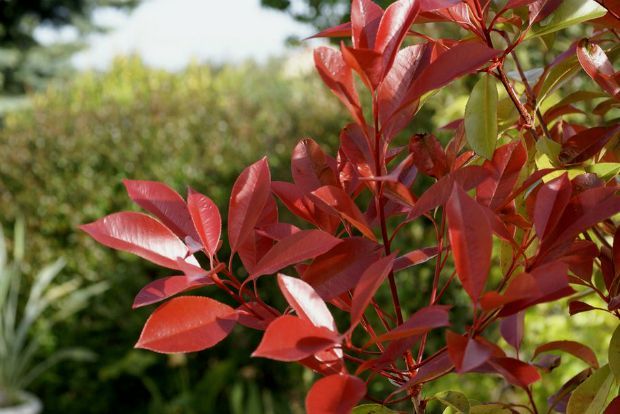 Photo: tezz450d@Flickr