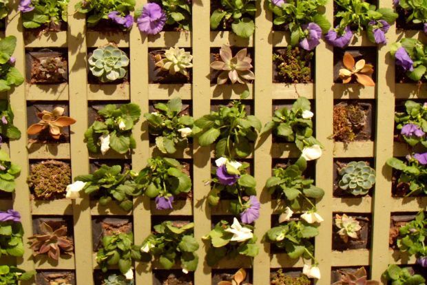 Photo: waitingisfullness/Flickr