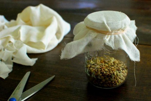 Photo: gardenista.com