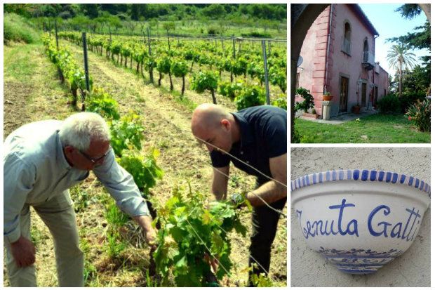 [Facebook/Nicolas Gatti]