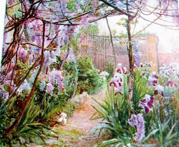 Sophie Atkinson, Watercolour