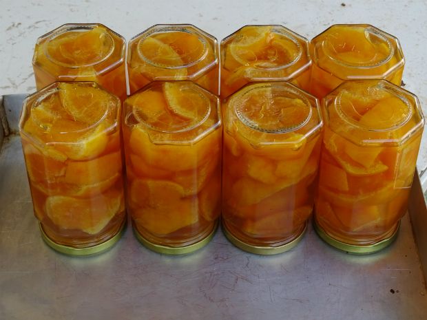 photo: Ξανθή Μπαξεβάνη