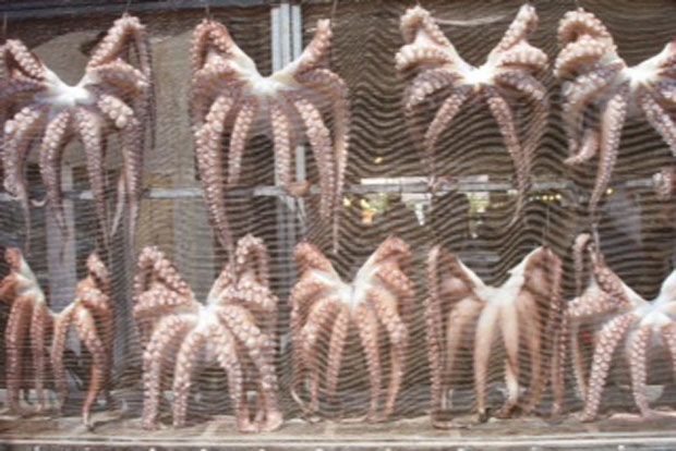 φωτό: Κική Τριανταφύλλη