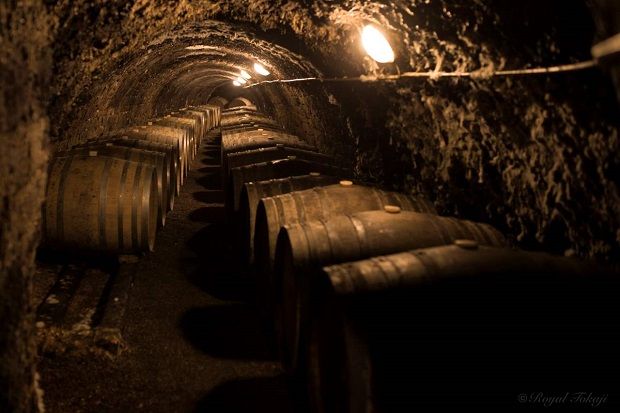 Πάνω από 1.000 δρύινα βαρέλια φυλάσσονται στο εντυπωσιακό κελάρι του 13ου αιώνα