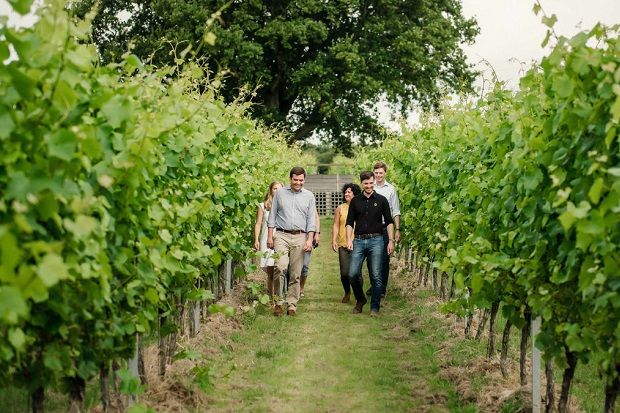 Επίσκεψη στον αμπελώνα του οινοποιείου Gusbourne στο Κεντ (Facebook/Gusbourne Wine)