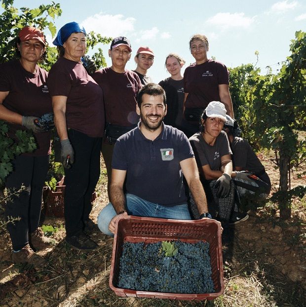 O Γιώργος Λαζαρίδης, με την δυνατή ομάδα του τρύγου (photo: Γιώργος Καπλανίδης)