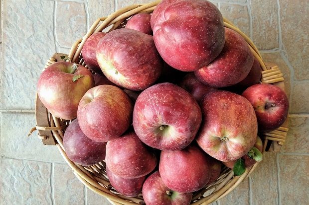 (photo: Κική Τριανταφύλλη)