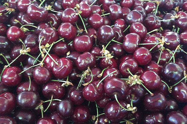 [φωτό: Κική Τριανταφύλλη]