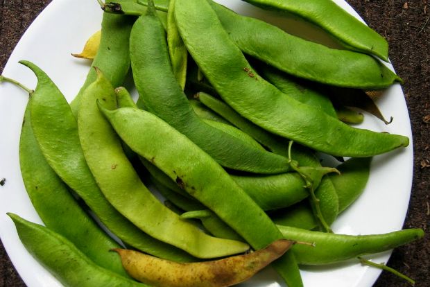 weedingonthewildside.blogspot.gr