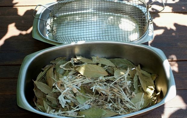 Photo: Μορόπουλος Νίκος