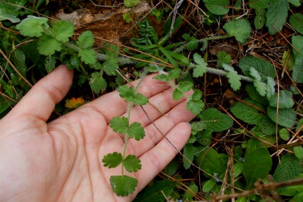 Photo: artanis71.blogspot.gr