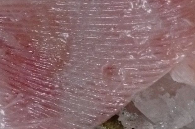 [photo: Νίκος Μορόπουλος]