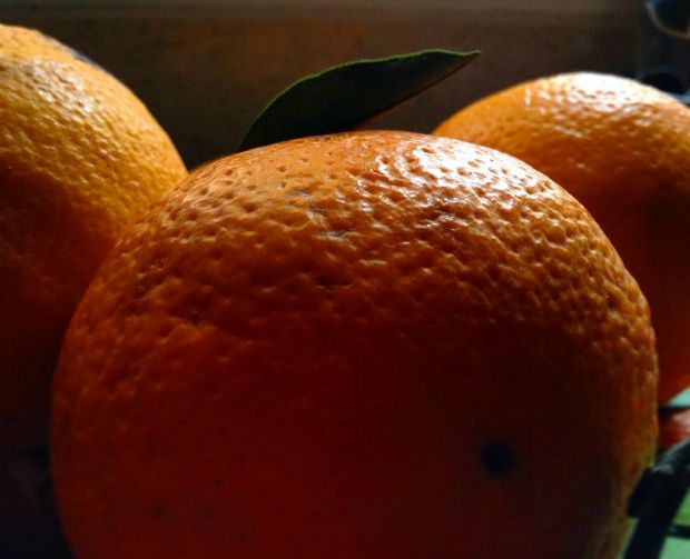 photo: Δημήτρης Μπούτος