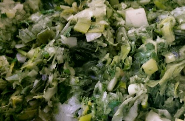 photo: Νίκος Μορόπουλος