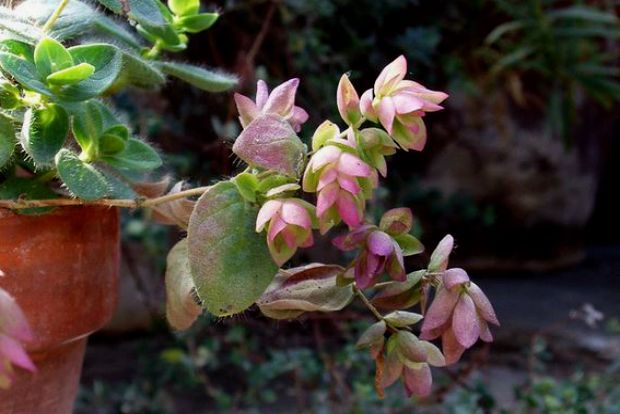 Photo: jennyn@Flickr