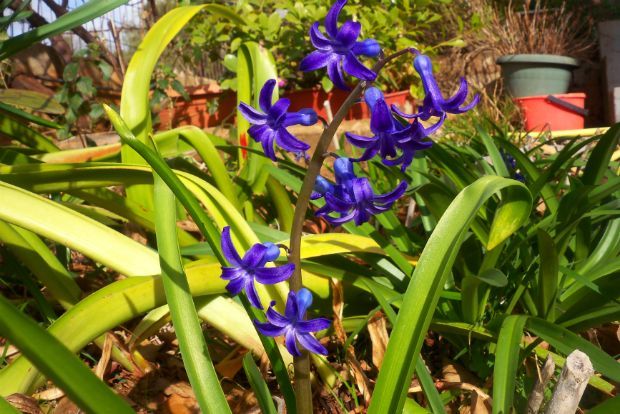 photo: Άντυ Παξινός