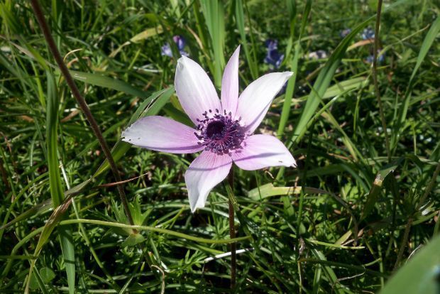 photo: Άντυ Παξινός