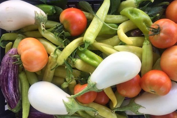 photo: Facebook / Antonia Kati