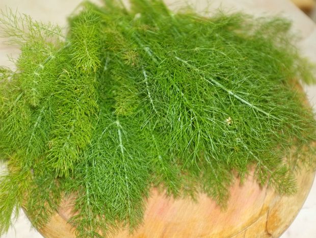 photo: Νίκος Μορόπουλος