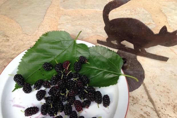 φωτό: Κική Τριανταφύλλη