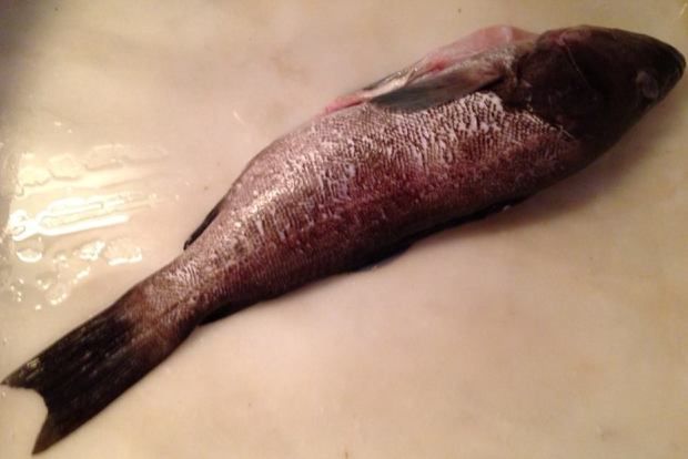 photo: Κική Τριανταφύλλη