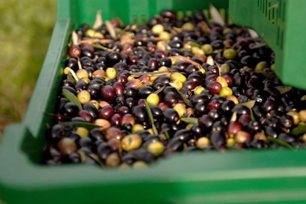 Photo: leamantine@Flickr