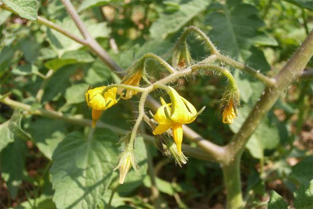Photo: Αντυ Παξινός