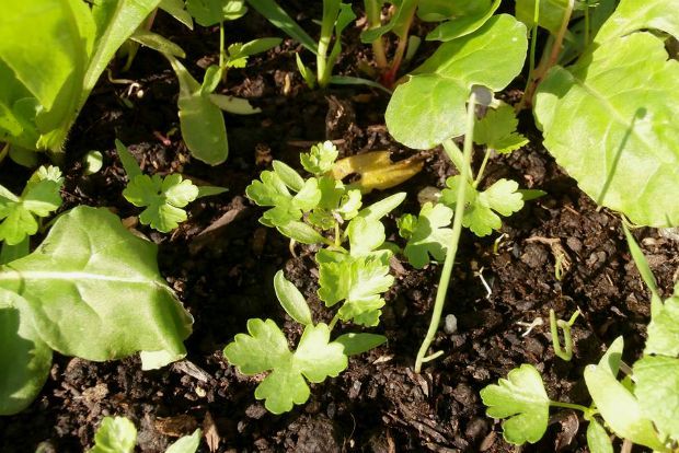 photo: Άντυ Παξινός