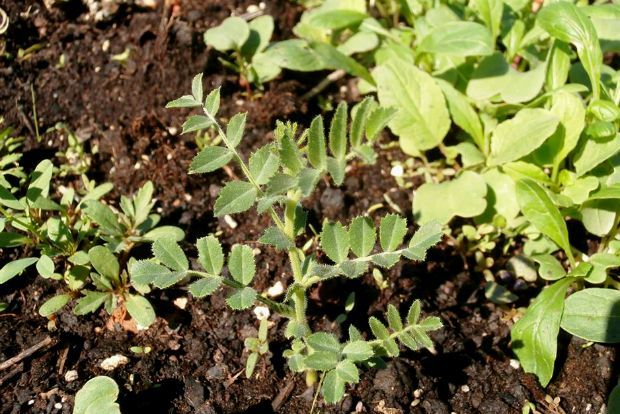 photo: Άντυ Παξινός