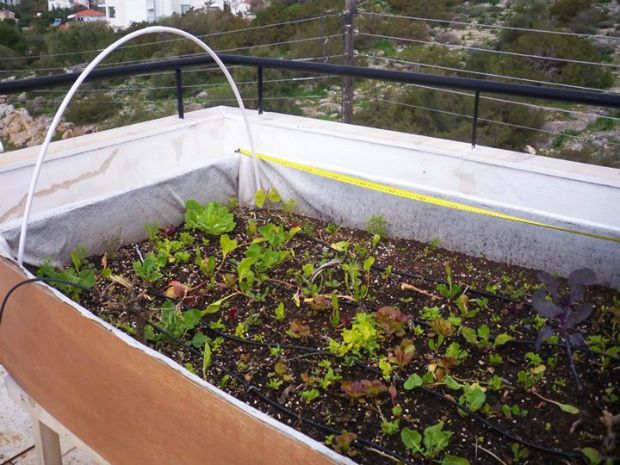 photo: Άντυ Παξινός