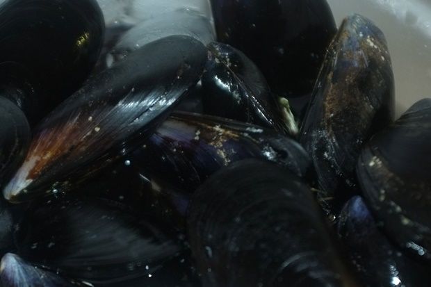 [photo: Νικος Μορόπουλος]